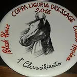 Relais Black Horse Millesimo