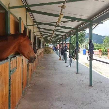 Relais Black Horse Ξενοδοχείο 3*