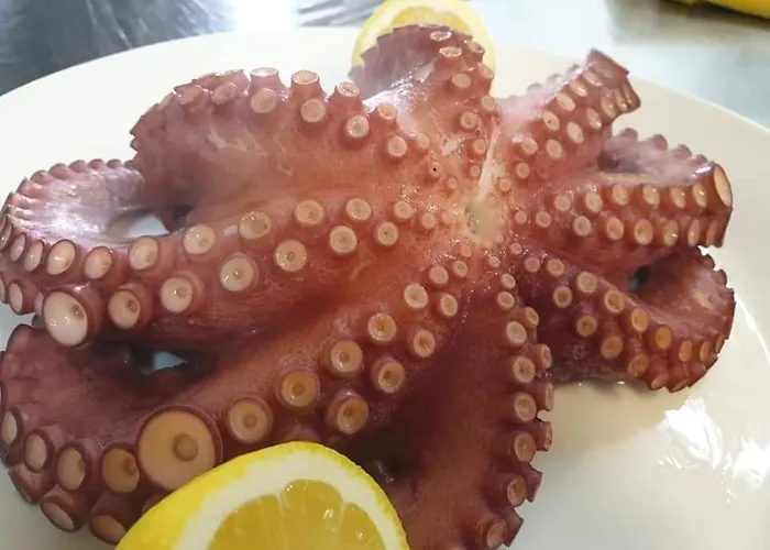 Relais Black Horse Ξενοδοχείο Millesimo